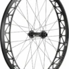 Dt-swiss DT Swiss Big Ride Front Wheel