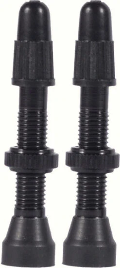 WTB TCS AL 46mm Presta Valve