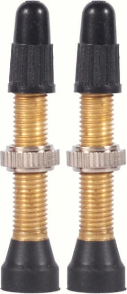 WTB TCS Brass 34mm Valve Stems